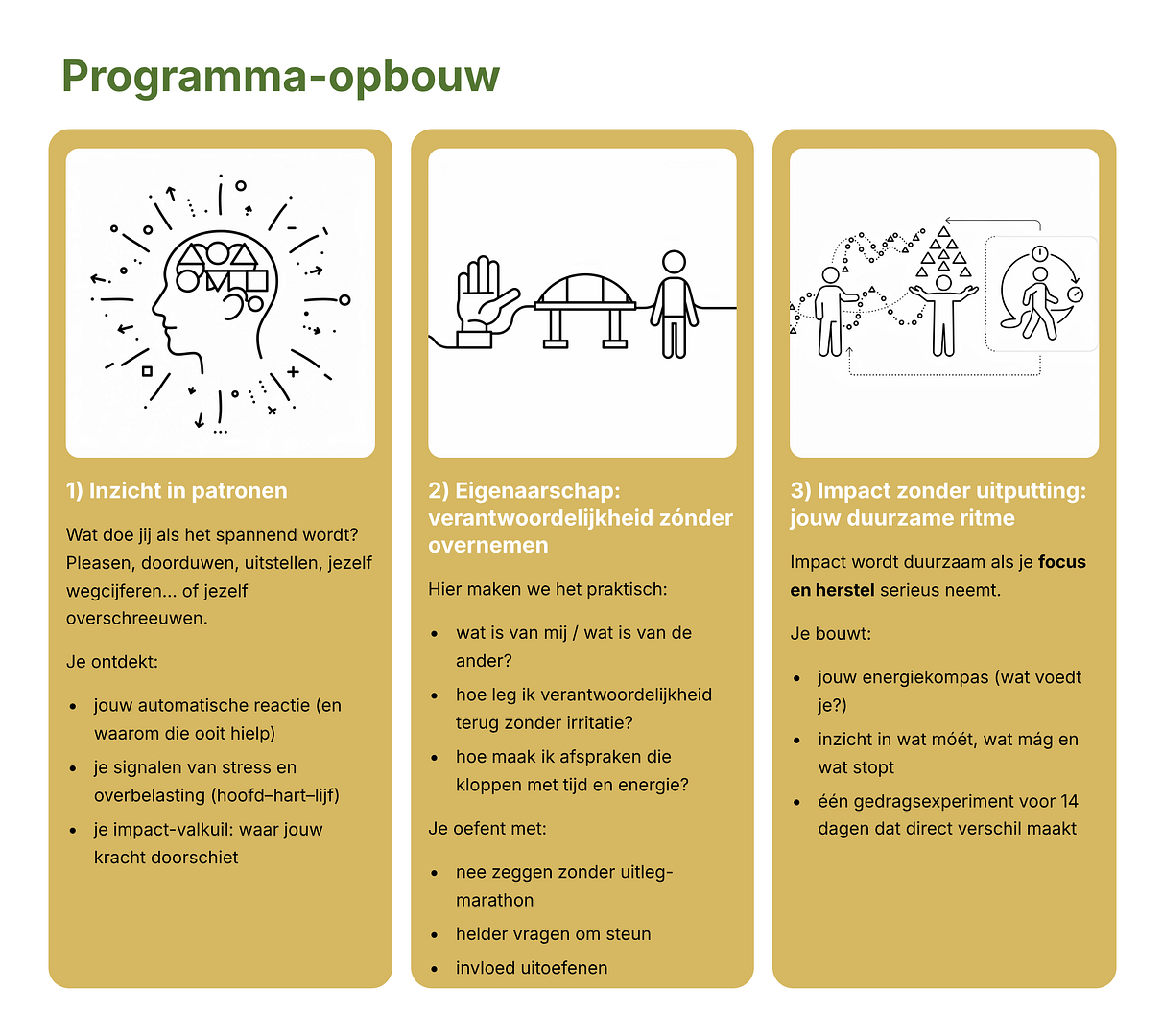 Programma-opbouw